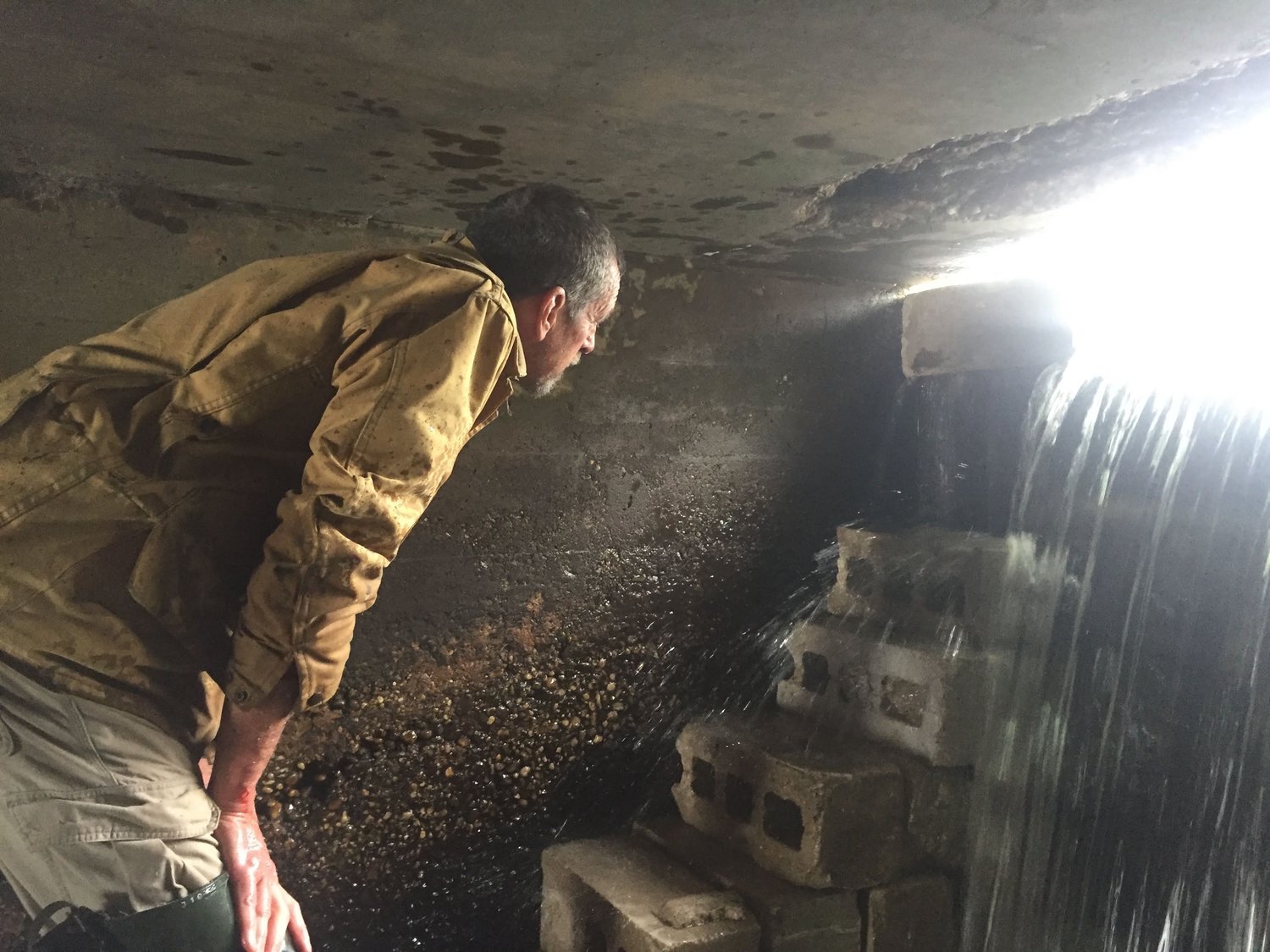 Seatuck wildlife biologist Mike Bottini looks at the concrete staircase created for otters to travel over the dam at Little Seatuck Creek and under East Moriches Boulevard in Eastport.